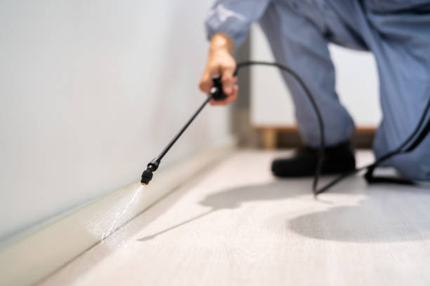 Licensed Ant Control service in Yreka, CA - Show Me Pest Control