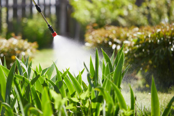 24/7 Emergency Ant Control experts in Yreka, CA