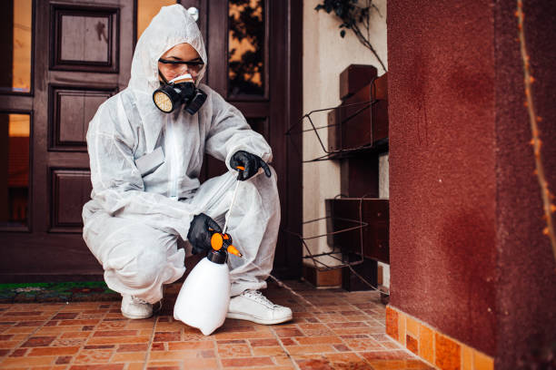 Reliable Ant Control contractor in Yreka, CA by Show Me Pest Control