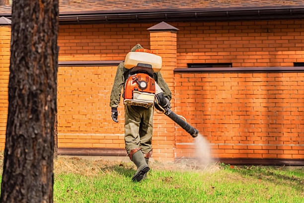 Top rated local Ant Control specialists in Yreka, CA